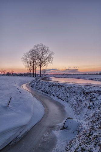 Voor zonsopkomst