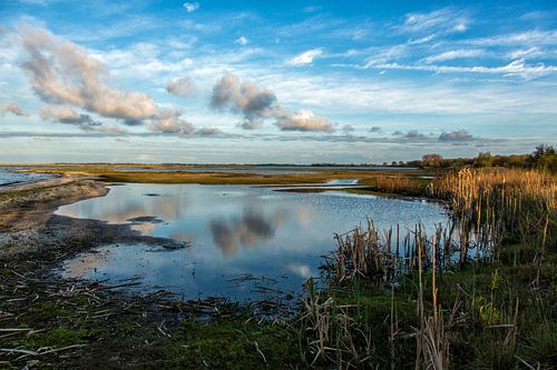Spiegeling