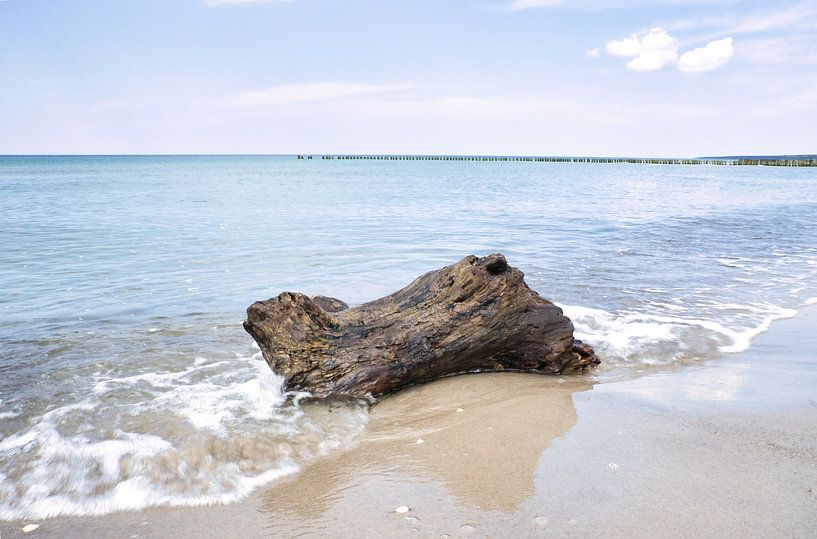 On the sandy beach of the Baltic Sea coast by Martin Köbsch
