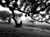 Schief - Gewundener Baum im Nebel von BHotography Miniaturansicht