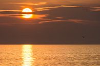 sunset @ sea van B-Pure Photography thumbnail