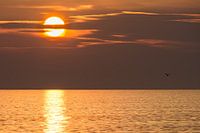 sunset @ sea