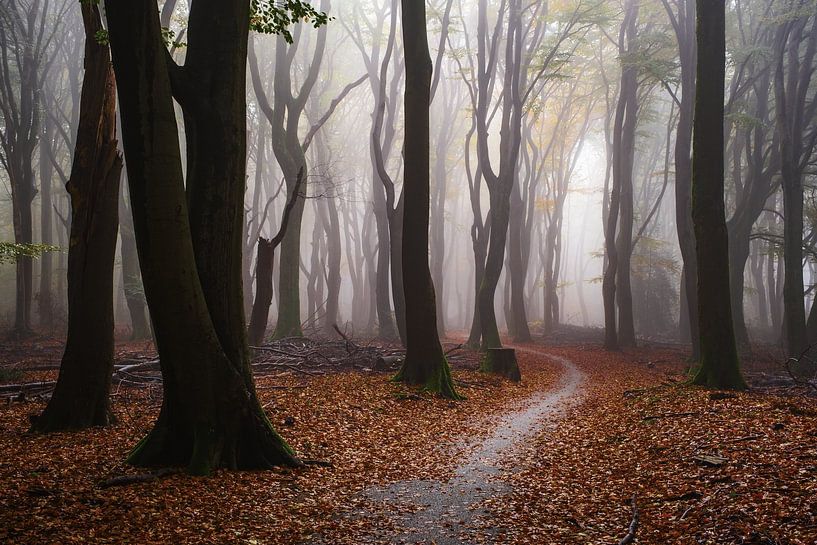 The hidden path by Tvurk Photography