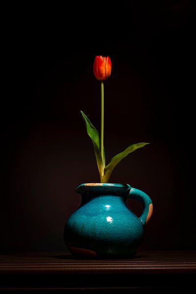 Kunstblume von Focashun