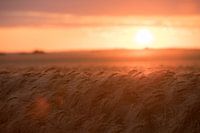 Sonnenuntergang auf Rügen