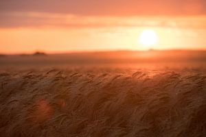 Sonnenuntergang auf Rügen van MMDesign