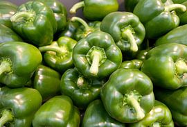 green paprika on the floriade show 2012 holland by ChrisWillemsen
