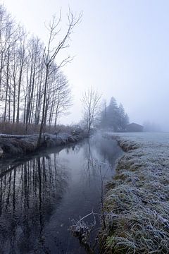 Ruisseau dans le brouillard à la verticale sur Teresa Bauer