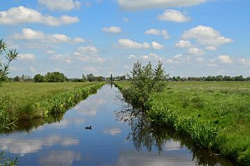 Typisch hollands landschap in de Krimpenerwaard bij Stolwijk, Zuid Holland van Robin Verhoef