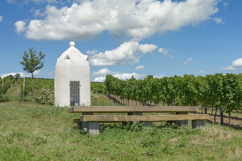 Idylle dans la région viticole de la Hesse rhénane par Peter Eckert