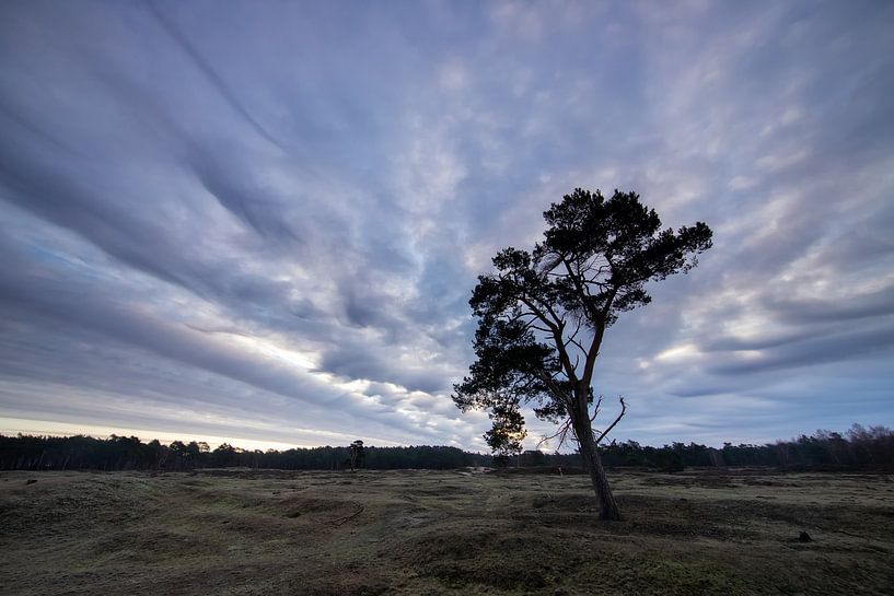 Sunrise on the Heidestein Bornia estate. by Peter Haastrecht, van