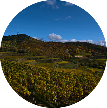 Panoramisch uitzicht over de wijngaardterrassen van de Kaiserstuhl in de herfst van Timon Schneider