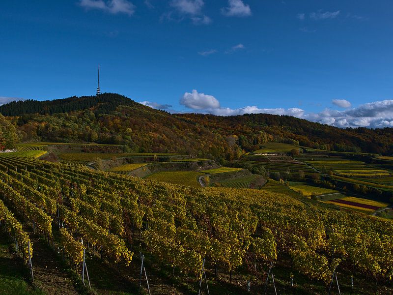Panoramablick über die Weinbergterrassen des Kaiserstuhls im Herbst von Timon Schneider