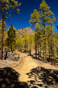 Mondlandschaft, Teneriffa