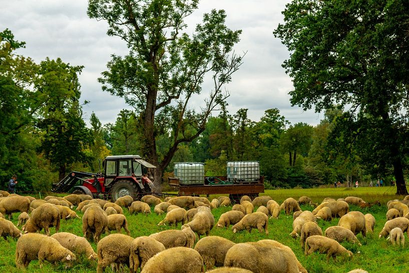 Herbstspaziergang durch die Klassikerstadt Weimar von Oliver Hlavaty