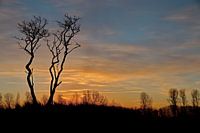Silhouet