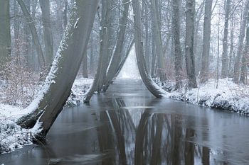 Wintermood