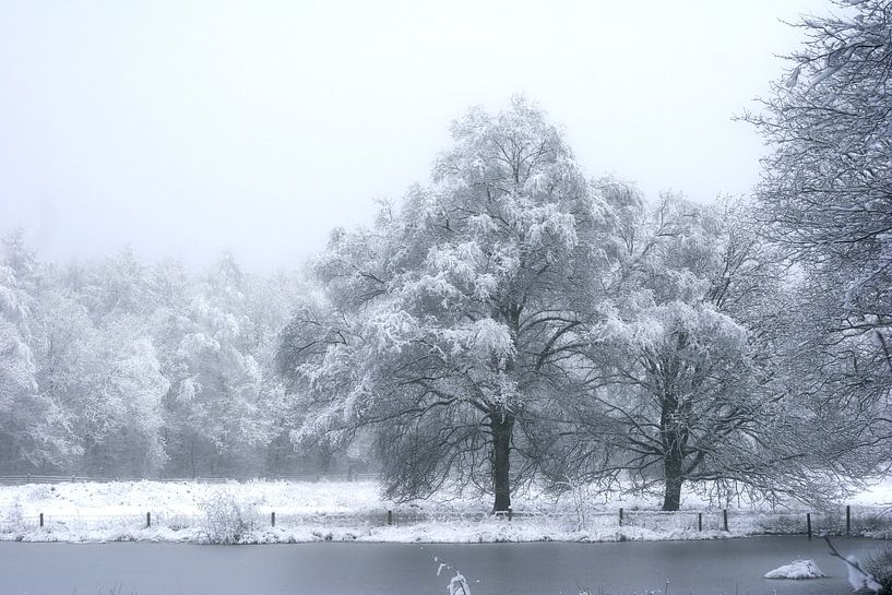 meertje met bomen by Alfred Stenekes