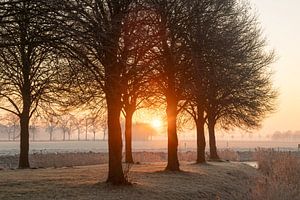 Wintermorgen in Ter Horst - Reif, Nebel und aufgehende Sonne