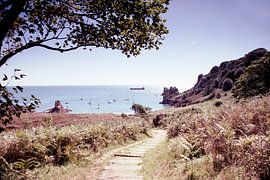 Paysage de Jersey