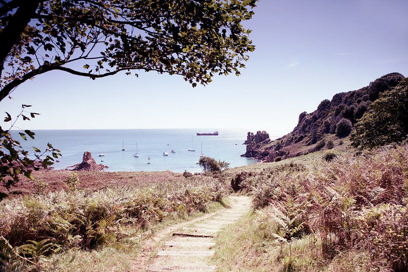 Paysage de Jersey par Sam Loman
