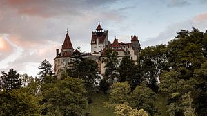 Kasteel Bran van Roland Brack