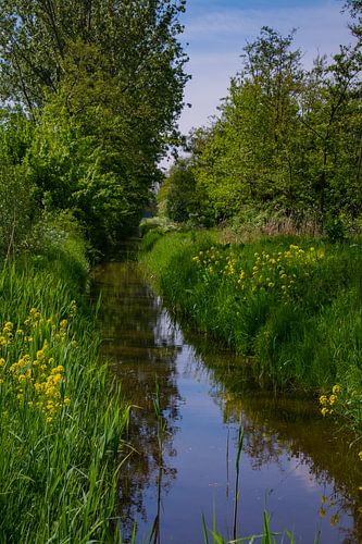Blick in den Aalkeet Buitenpolder