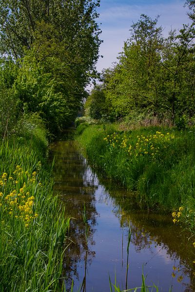 Doorkijkje in de Aalkeet-Buitenpolder van FotoGraaGHanneke