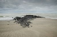 Vlieland strand