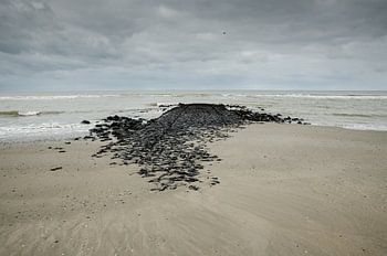 Vlieland beach