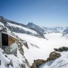 Blick vom Jungfraujoch-Plateau auf den Aletschgletscher von t.ART