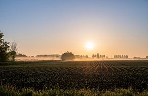 Landschaft Teil 2 von Tania Perneel