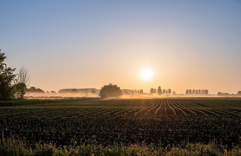 platteland part 2 van Tania Perneel