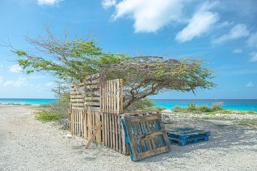 Strandhuisje op Bonaire van Caroline Drijber