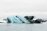 Jökulsárlón Glacier Lagoon met meeuw par Anneke Hooijer Aperçu