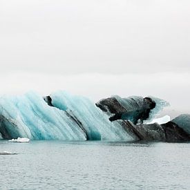 Jökulsárlón Glacier Lagoon met meeuw by Anneke Hooijer