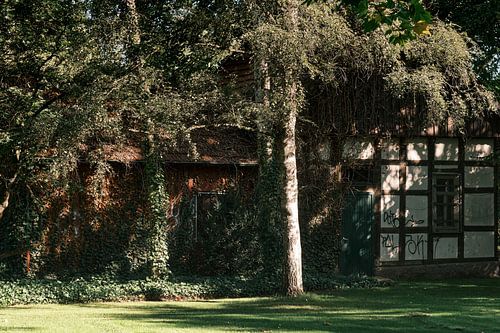 Idyll in the shadow of time" | Herford 09/2023