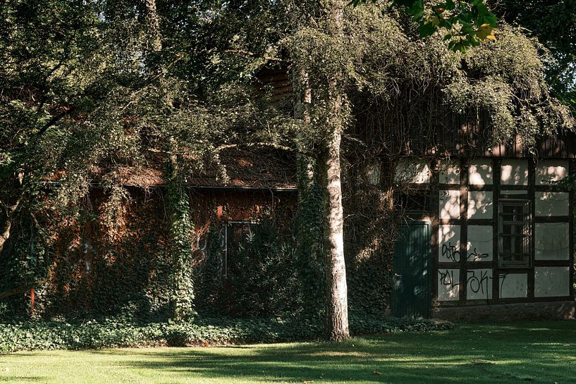 Idylle in de schaduw van de tijd" | Herford 09/2023 van Momentaufnahme | Marius Ahlers
