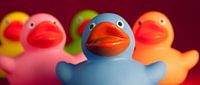 Close-up cheerful coloured bath ducks