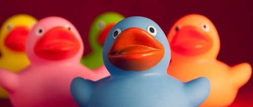 Gros plan sur les canards de bain colorés et joyeux