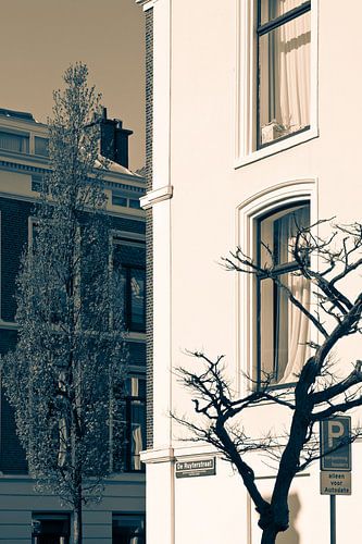 Het Den Haag van Louis Couperus