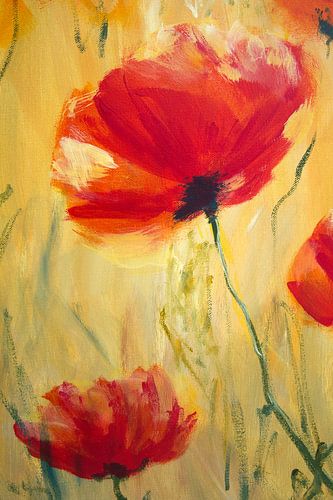 Coquelicots rouges