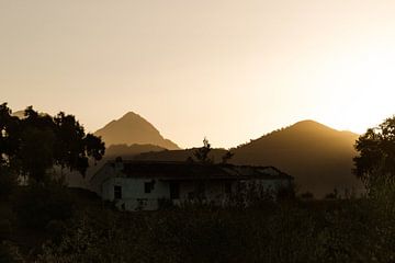Een vroege ochtend in de bergen van Andalusië van Alice's Pictures