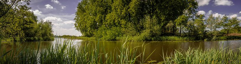Nice panoramic view by Fred Bekema