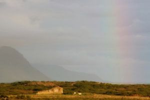 Landschaft Island