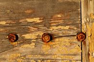 Rusted nut by Erick van Bommel thumbnail