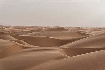 Mer de dunes dans le désert | Mauritanie