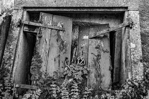 contrasting transience