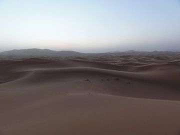 Woestijn van Iris Ritzen