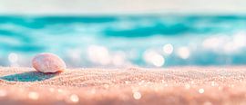 Gentle sandy beach with shells by Poster Art Shop